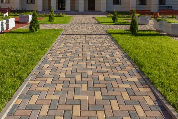 Best Professional Driveway Pavers  in Belleville, MI